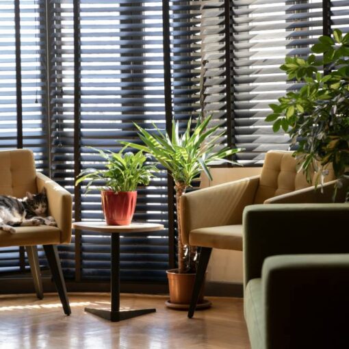 sfeer met jaloezieen