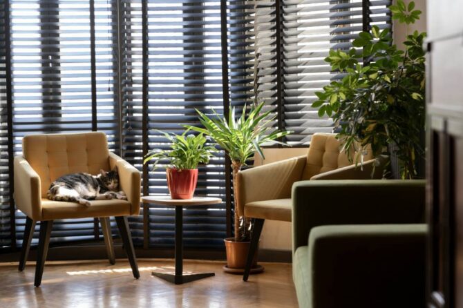 sfeer met jaloezieen